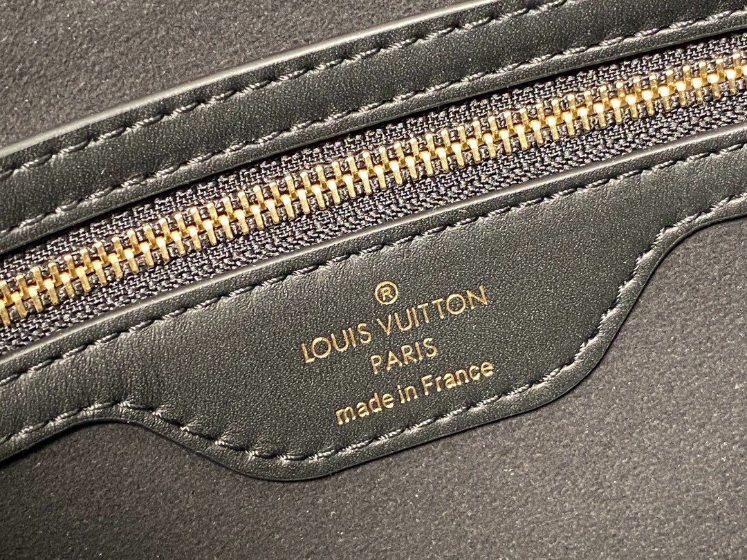 Louis Vuitton M46659 LV Twinny , Black, One Size