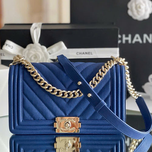 Bảng Màu 01 Túi Xách Chanel Leboy Live Auth Size 25 cm