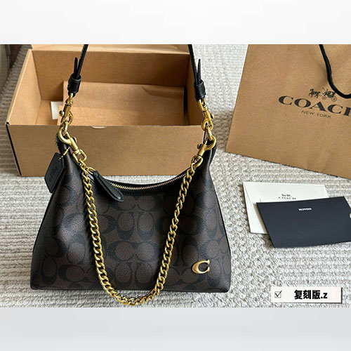 Bảng Màu Túi Coach Laurel Hobo Bag Fullbox Size 25cm