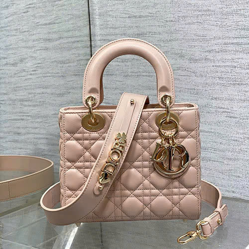 Bảng Màu Túi Lady Dior Màu Hồng Size 20cm