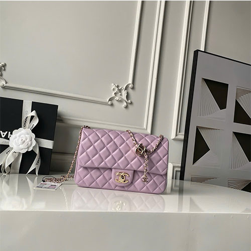 Bảng màu Túi xách Chanel CF Double C Adjustable Chain Bag – AS5756