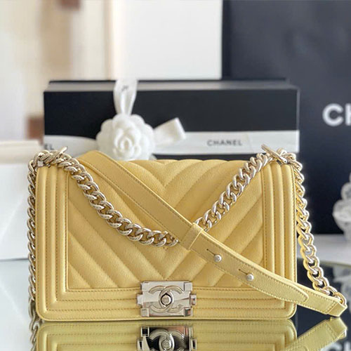 Bảng Màu Túi Xách Chanel Leboy Live Auth Size 25 cm