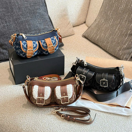 Bảng Màu Túi xách Coach Ashton Full Box Size 25.5 cm