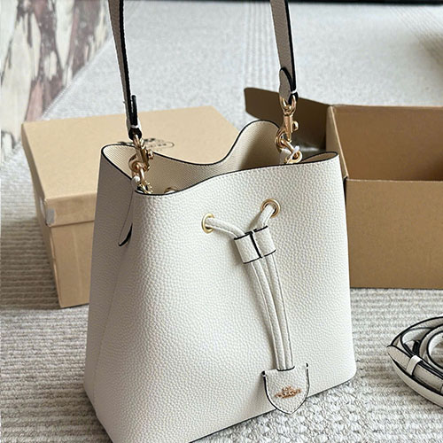 Bảng Màu Túi Xách Coach Bucket Full Box Size 25 cm