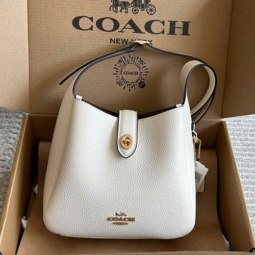 Bảng Màu Túi Xách Coach Hadley Fullbox Size 20cm
