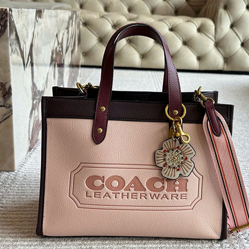 Bảng Màu Túi xách Coach shopping Full Box Size 30 cm
