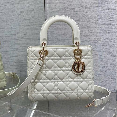 Bảng Màu Túi Xách Dior 5 Ô 0614 Siêu Vip Size 24 cm