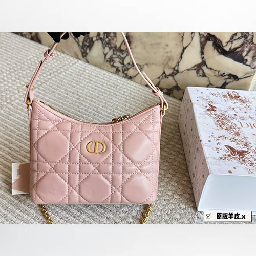 Bảng Màu Túi Xách Dior Baguette Màu Đen Fullbox Size 20cm