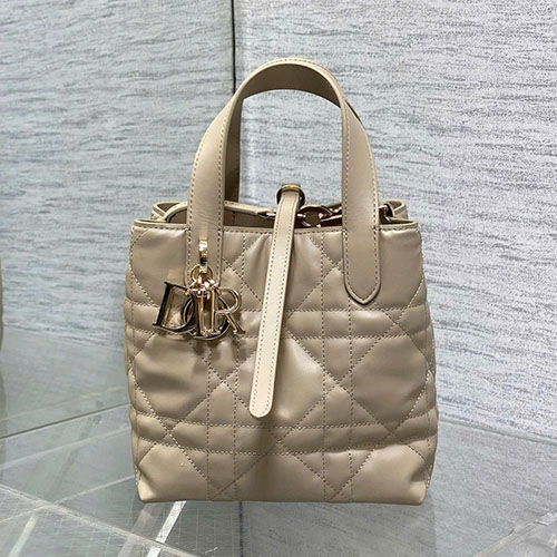 Bảng Màu Túi Xách Dior Toujours 0624 Siêu Vip Size 18 cm
