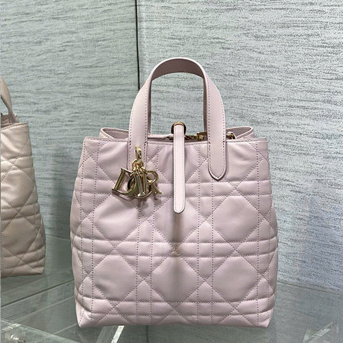 Bảng Màu Túi Xách Dior Toujours 0625 Siêu Vip Size 22 cm
