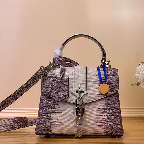 Bảng màu Túi xách Louis Vuitton Rose des Vents