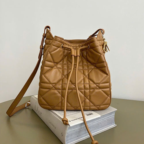 Túi Dior Medium D-Motion Bag Màu Nâu Siêu Vip Size 24cm