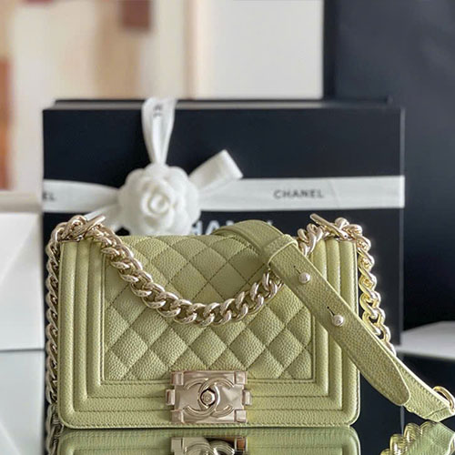 Túi Xách Chanel Leboy V Màu Xanh Bơ Live Auth Size 20 cm
