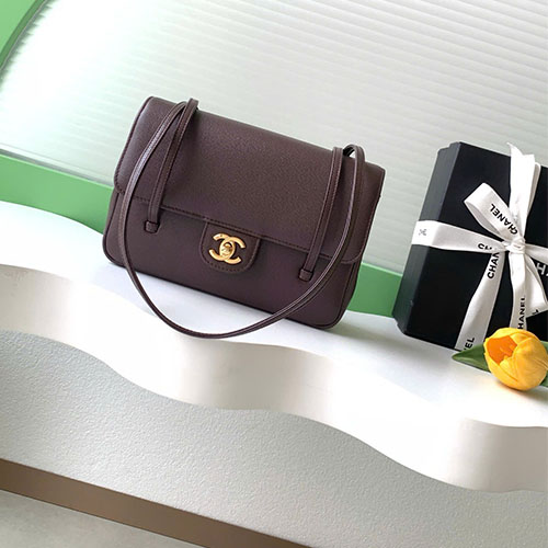 Túi xách Chanel Preppy Coco Mini Caviar – AP6130 – VIP - màu nâu