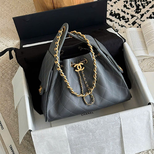 Túi xách Chanel siêu vip – 25C Hobo Bag 25bag nguyên bản - màu xám voi