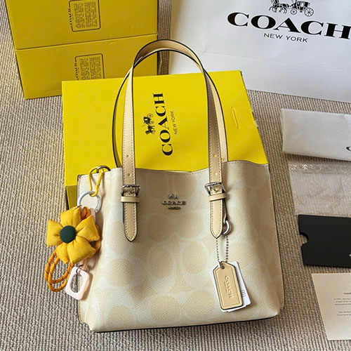 Túi xách Coach Mollie 25 Tote Bag Full Box Size 24 cm