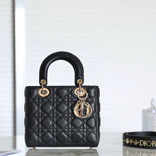 Túi Xách Dior Màu Đen Da Cừu  DR-091 Like Auth Size 20 cm