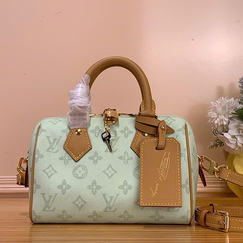 Túi xách LV Speedy Bandoulière 20 siêu vip Sac Speedy Bandoulière 20 M27530